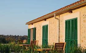 Finca Son Oms